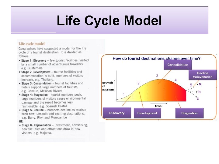 Life Cycle Model 