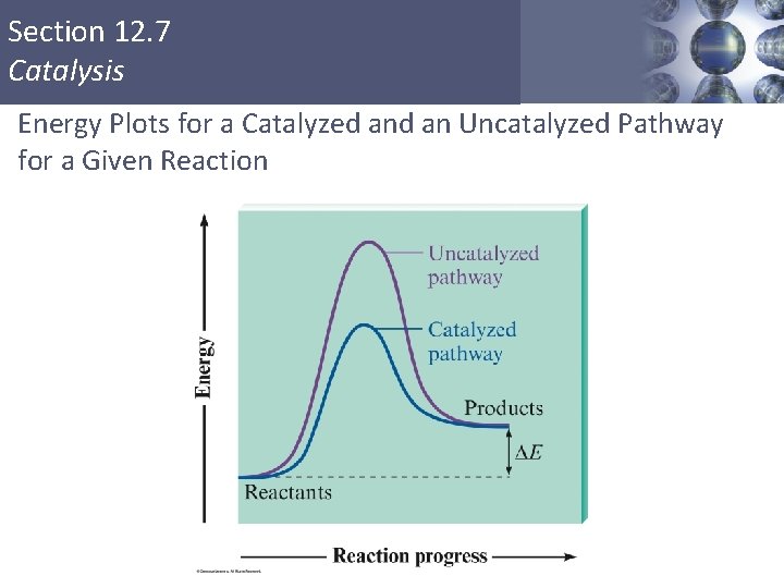 Section 12. 7 Catalysis Energy Plots for a Catalyzed an Uncatalyzed Pathway for a