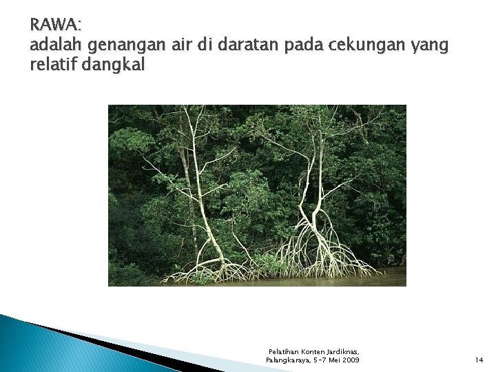 RAWA: adalah genangan air di daratan pada cekungan yang relatif dangkal Pelatihan Konten Jardiknas,