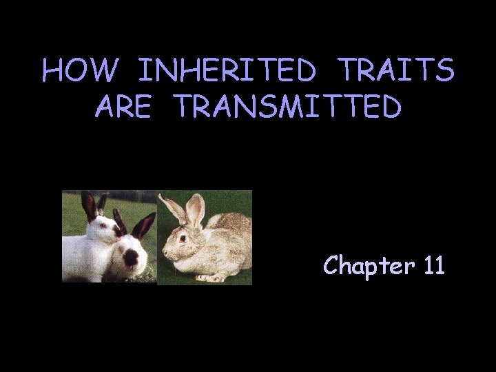 HOW INHERITED TRAITS ARE TRANSMITTED Chapter 11 HOW INHERITED TRAITS ARE TRANSMITTED Chapter 11