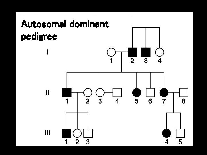 Autosomal dominant pedigree Autosomal dominant pedigree