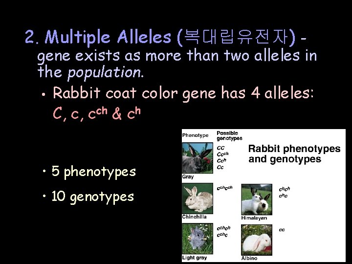 2. Multiple Alleles (복대립유전자) - gene exists as more than two alleles in the 2. Multiple Alleles (복대립유전자) - gene exists as more than two alleles in the