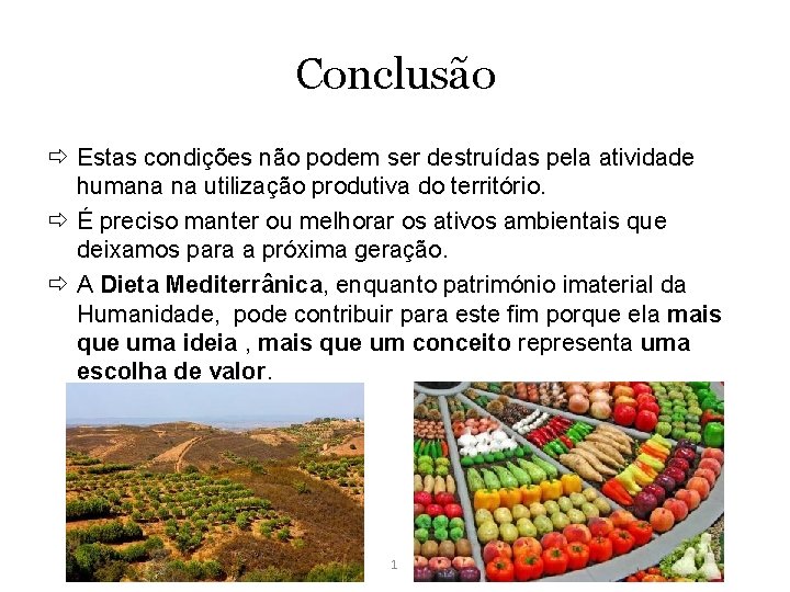 Conclusão Estas condições não podem ser destruídas pela atividade humana na utilização produtiva do