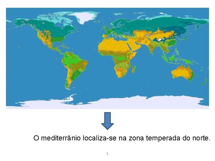 O mediterrânio localiza-se na zona temperada do norte. 1 