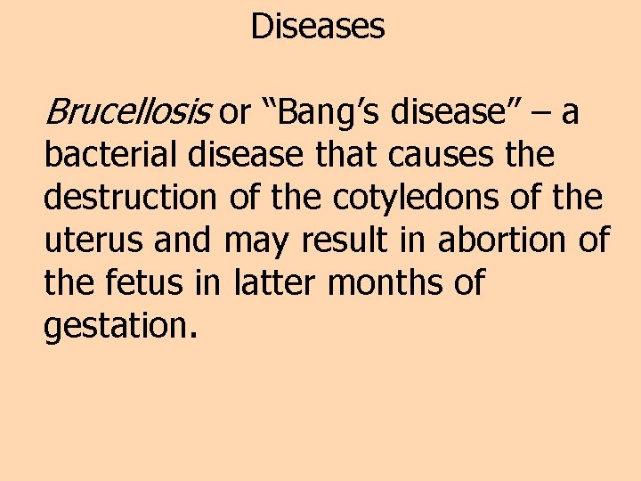 Diseases Brucellosis or “Bang’s disease” – a bacterial disease that causes the destruction of