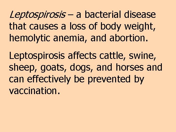 Leptospirosis – a bacterial disease that causes a loss of body weight, hemolytic anemia,