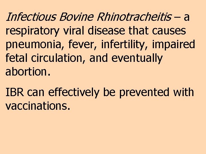 Infectious Bovine Rhinotracheitis – a respiratory viral disease that causes pneumonia, fever, infertility, impaired