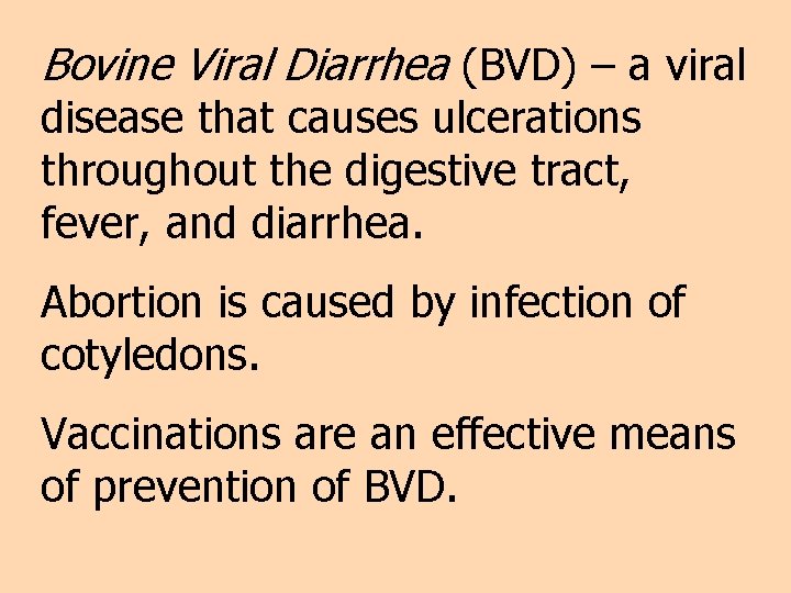 Bovine Viral Diarrhea (BVD) – a viral disease that causes ulcerations throughout the digestive