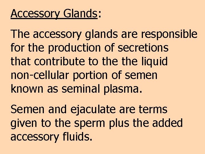 Accessory Glands: The accessory glands are responsible for the production of secretions that contribute