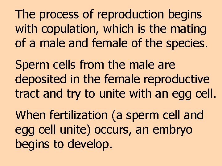 The process of reproduction begins with copulation, which is the mating of a male