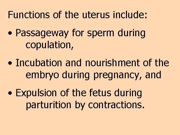 Functions of the uterus include: • Passageway for sperm during copulation, • Incubation and