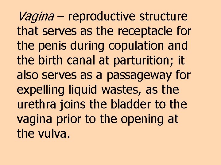 Vagina – reproductive structure that serves as the receptacle for the penis during copulation