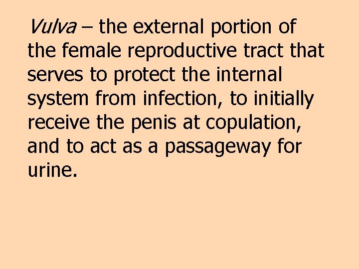 Vulva – the external portion of the female reproductive tract that serves to protect