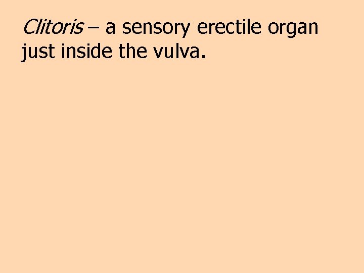 Clitoris – a sensory erectile organ just inside the vulva. 