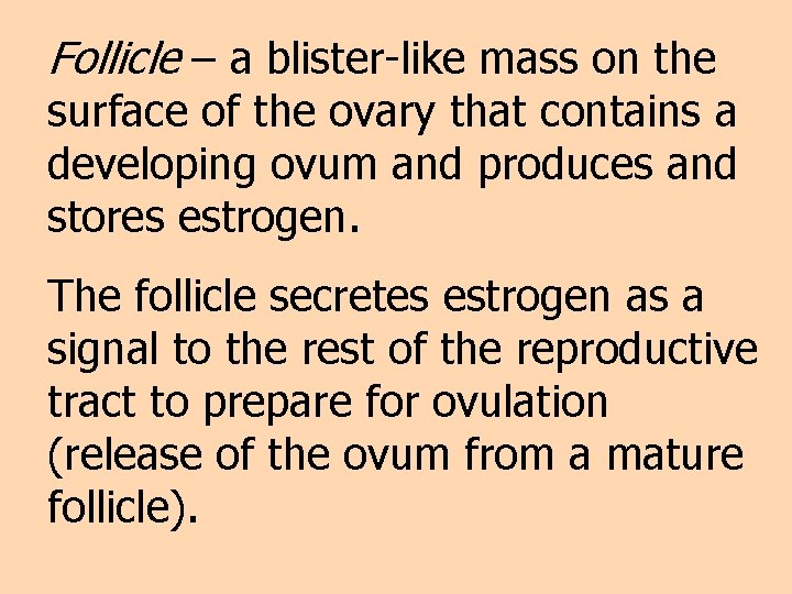 Follicle – a blister-like mass on the surface of the ovary that contains a