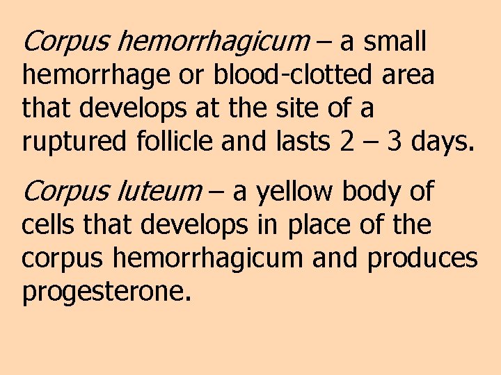 Corpus hemorrhagicum – a small hemorrhage or blood-clotted area that develops at the site