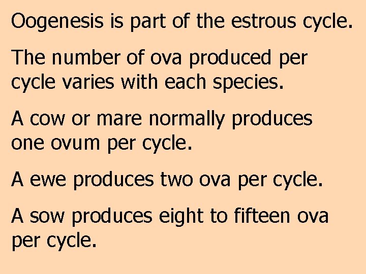 Oogenesis is part of the estrous cycle. The number of ova produced per cycle