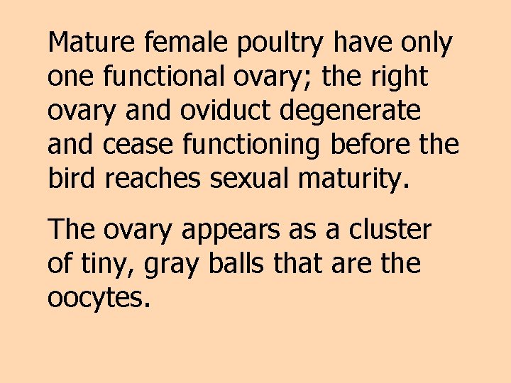 Mature female poultry have only one functional ovary; the right ovary and oviduct degenerate