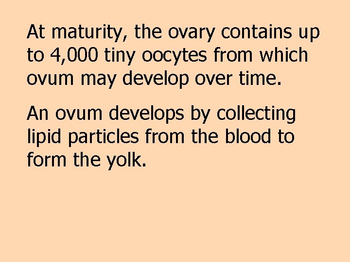 At maturity, the ovary contains up to 4, 000 tiny oocytes from which ovum