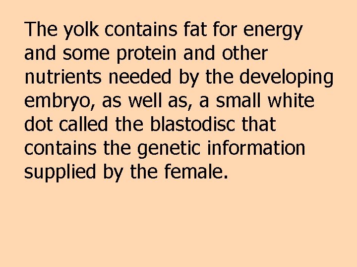The yolk contains fat for energy and some protein and other nutrients needed by