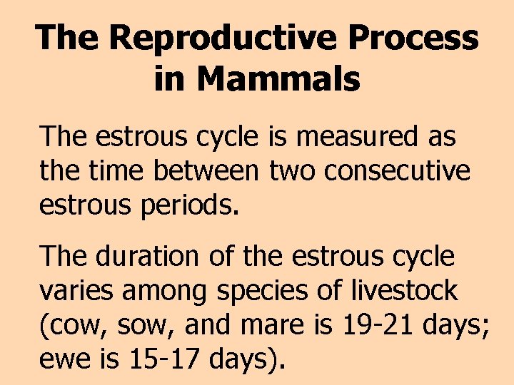 The Reproductive Process in Mammals The estrous cycle is measured as the time between