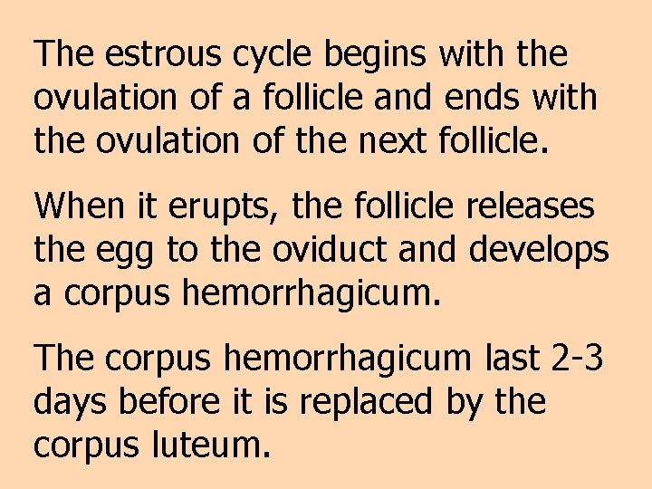 The estrous cycle begins with the ovulation of a follicle and ends with the