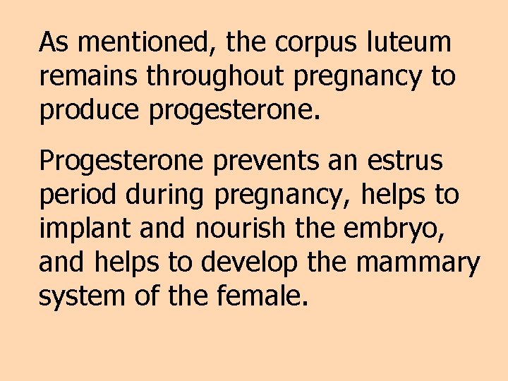 As mentioned, the corpus luteum remains throughout pregnancy to produce progesterone. Progesterone prevents an