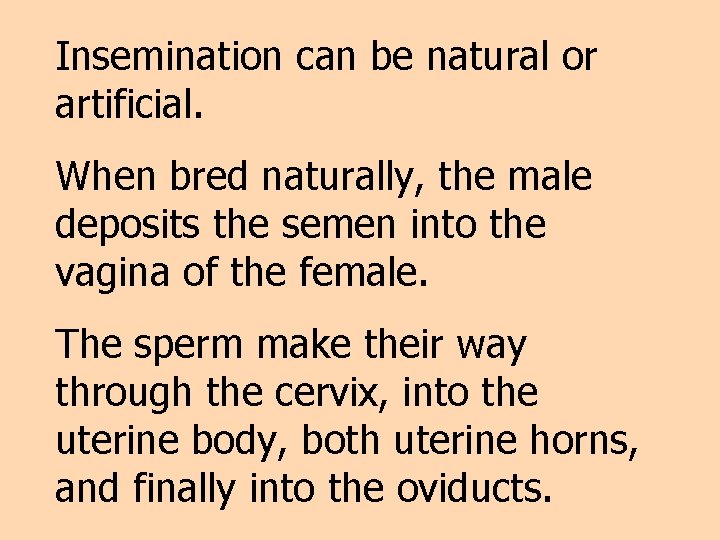 Insemination can be natural or artificial. When bred naturally, the male deposits the semen