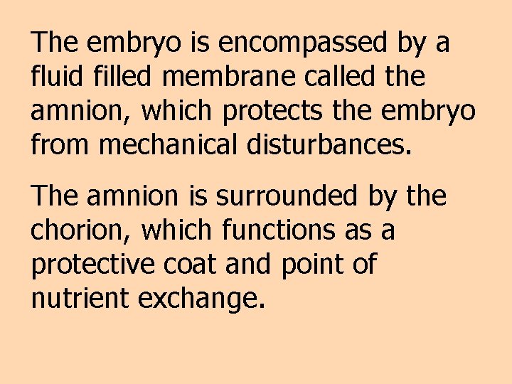 The embryo is encompassed by a fluid filled membrane called the amnion, which protects