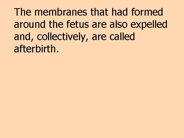 The membranes that had formed around the fetus are also expelled and, collectively, are