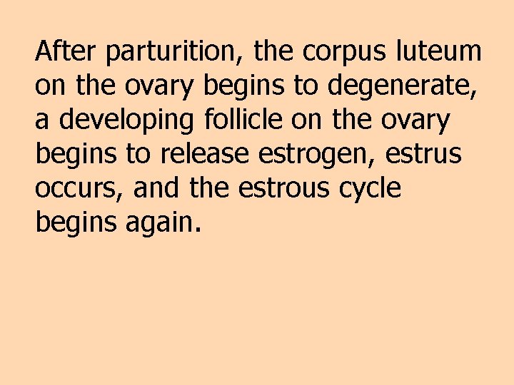 After parturition, the corpus luteum on the ovary begins to degenerate, a developing follicle