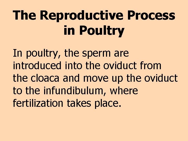 The Reproductive Process in Poultry In poultry, the sperm are introduced into the oviduct