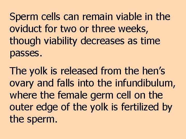 Sperm cells can remain viable in the oviduct for two or three weeks, though