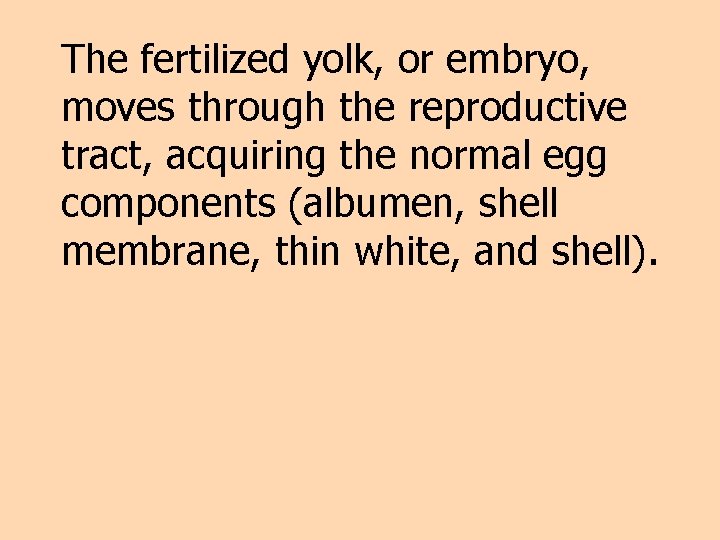 The fertilized yolk, or embryo, moves through the reproductive tract, acquiring the normal egg