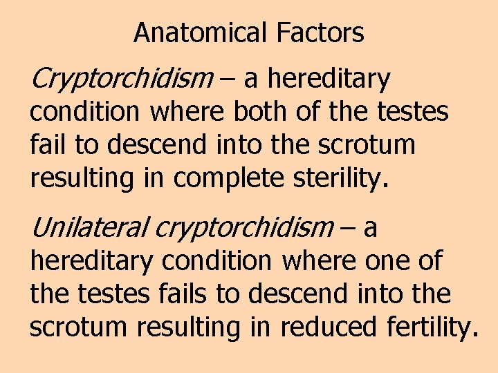 Anatomical Factors Cryptorchidism – a hereditary condition where both of the testes fail to