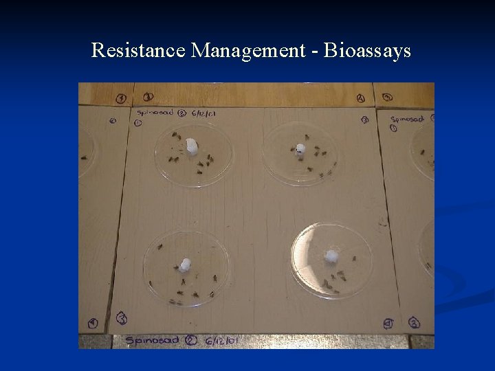 Resistance Management - Bioassays 