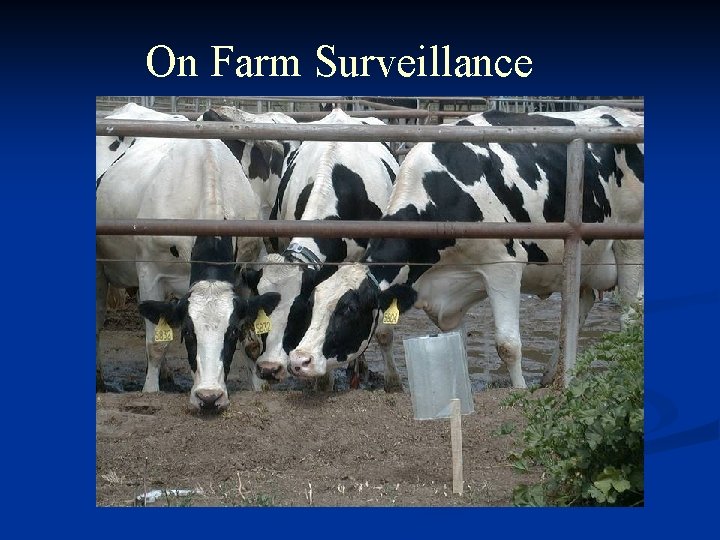 On Farm Surveillance 