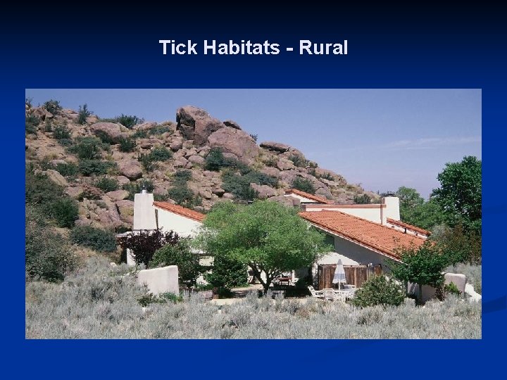 Tick Habitats - Rural 