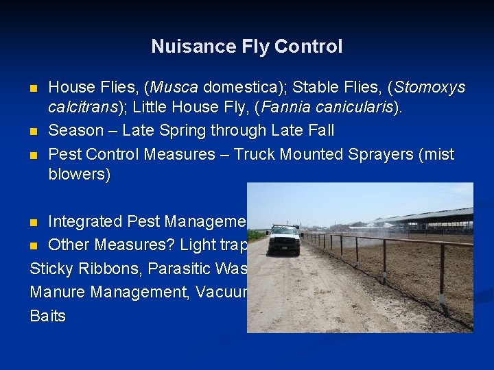 Nuisance Fly Control n n n House Flies, (Musca domestica); Stable Flies, (Stomoxys calcitrans);