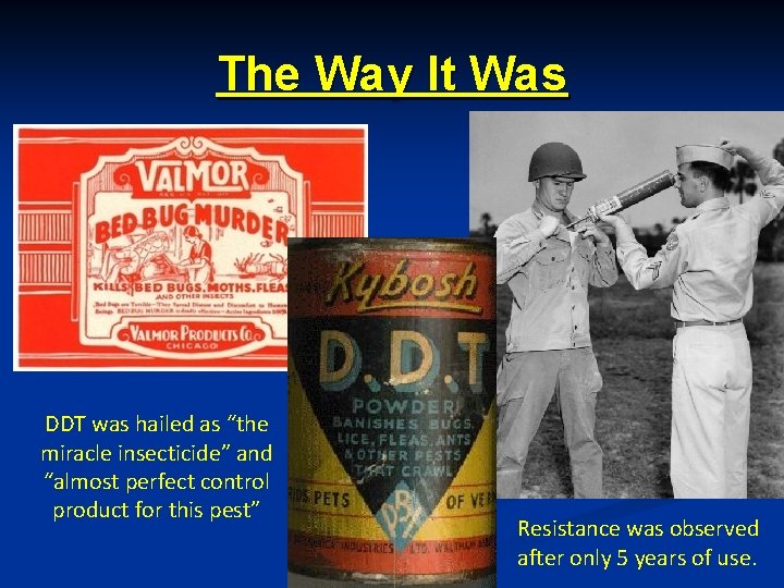 The Way It Was DDT was hailed as “the miracle insecticide” and “almost perfect