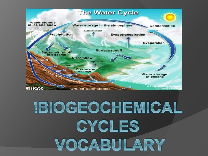 BIOGEOCHEMICAL CYCLES VOCABULARY 