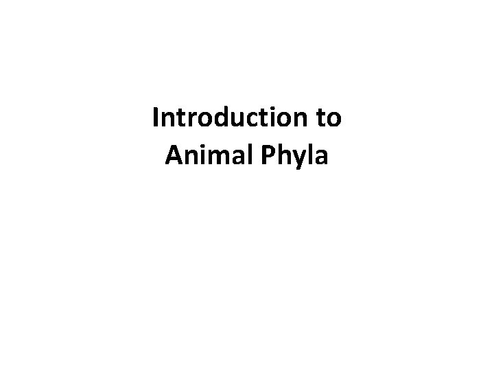 Introduction to Animal Phyla 