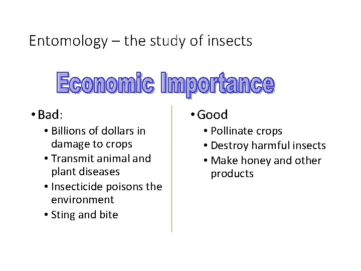 Entomology – the study of insects • Bad: • Billions of dollars in damage