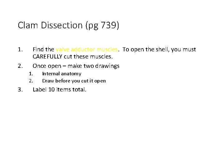 Clam Dissection (pg 739) 1. 2. Find the valve adductor muscles. To open the