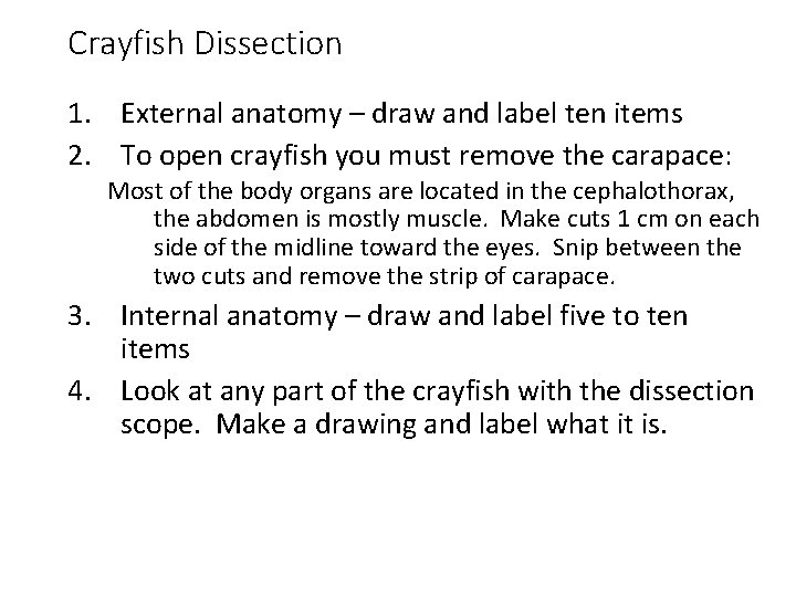 Crayfish Dissection 1. External anatomy – draw and label ten items 2. To open