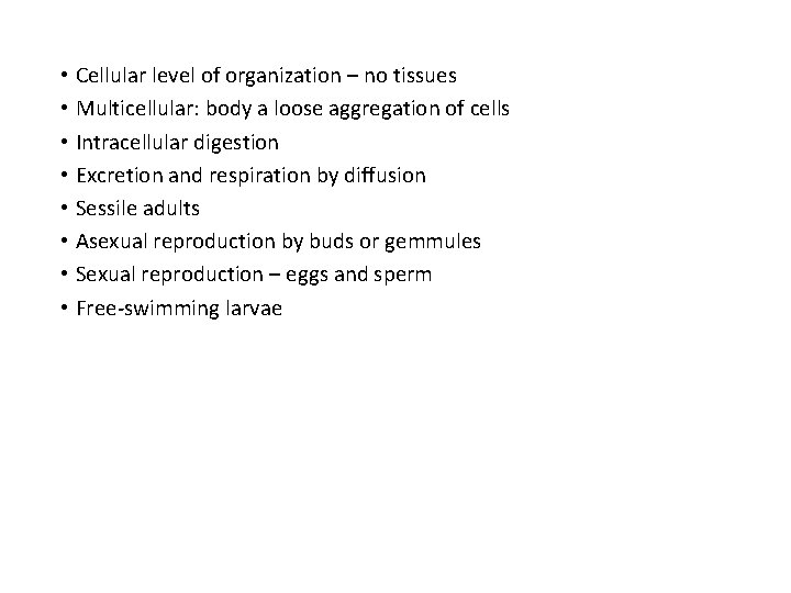  • Cellular level of organization – no tissues • Multicellular: body a loose