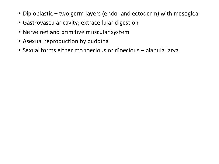  • Diploblastic – two germ layers (endo- and ectoderm) with mesoglea • Gastrovascular