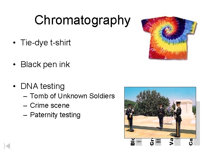Chromatography • Tie-dye t-shirt • Black pen ink • DNA testing – Tomb of