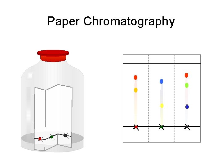 Paper Chromatography 