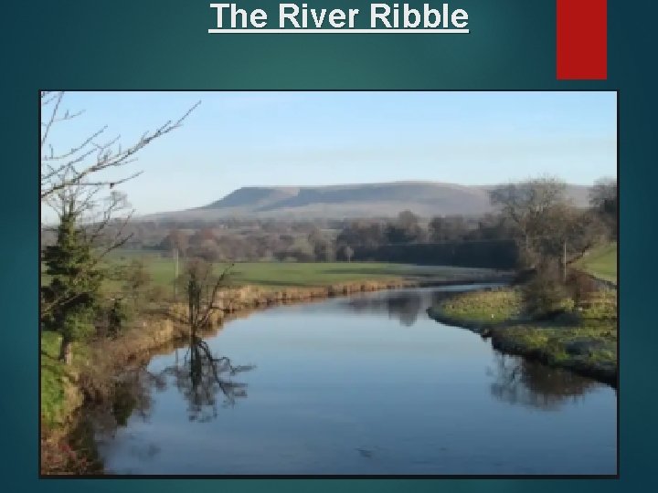 The River Ribble 